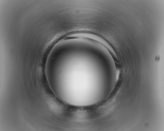 X0000091940256200709051528