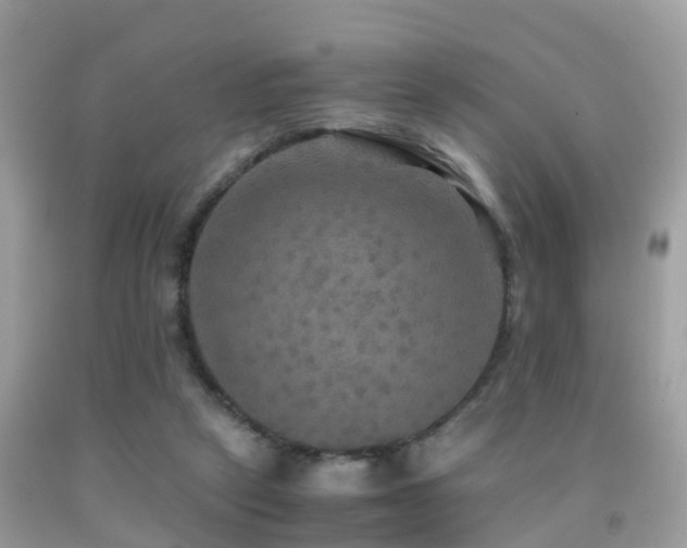 X0000091940257200709051528