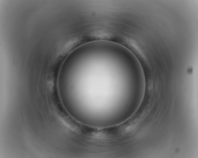 X0000091940259200709051528