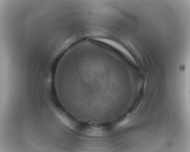 X0000091940260200709051528