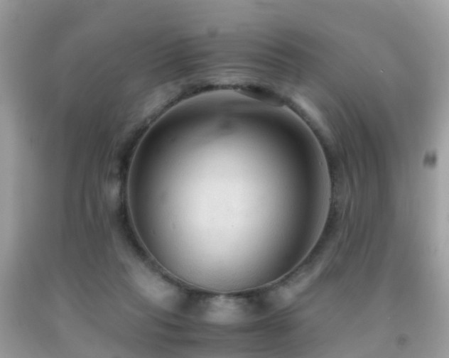 X0000091940261200709051528