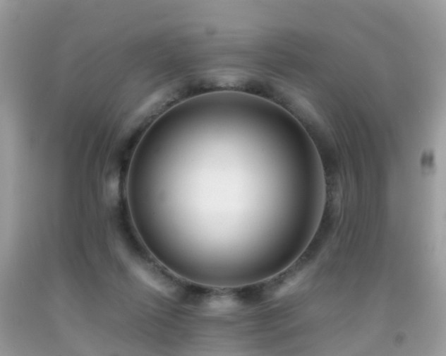 X0000091940262200709051528