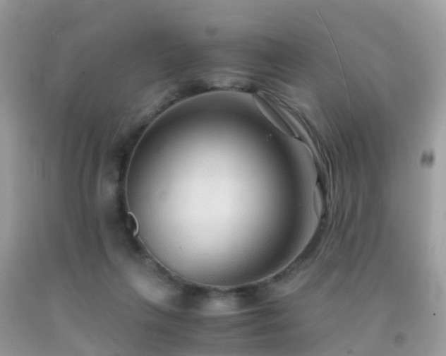 X0000091940263200709051528