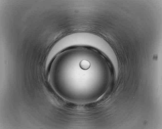 X0000091940264200709051528