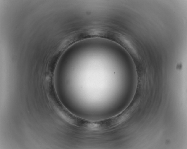 X0000091940265200709051528