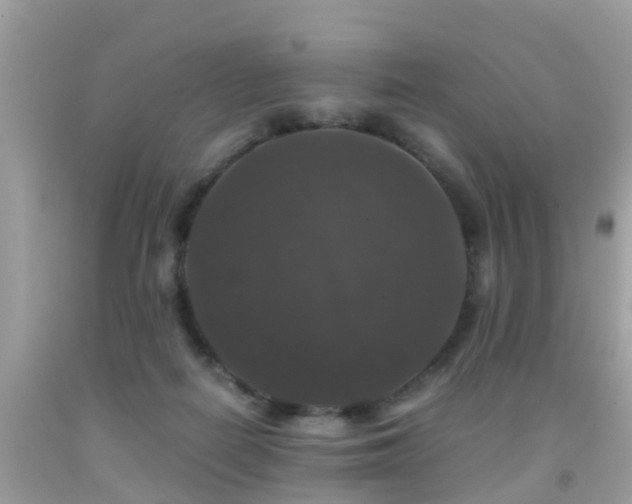 X0000091940266200709051528