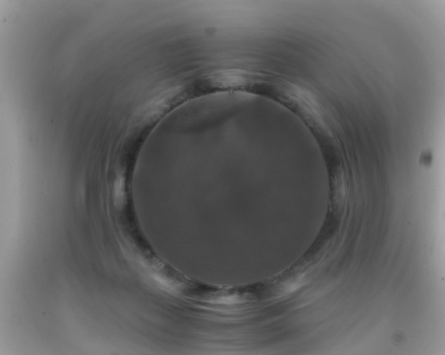 X0000091940267200709051528