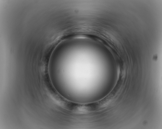 X0000091940268200709051528