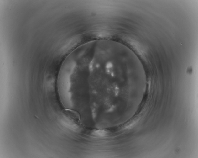 X0000091940269200709051528