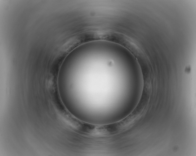 X0000091940270200709051528