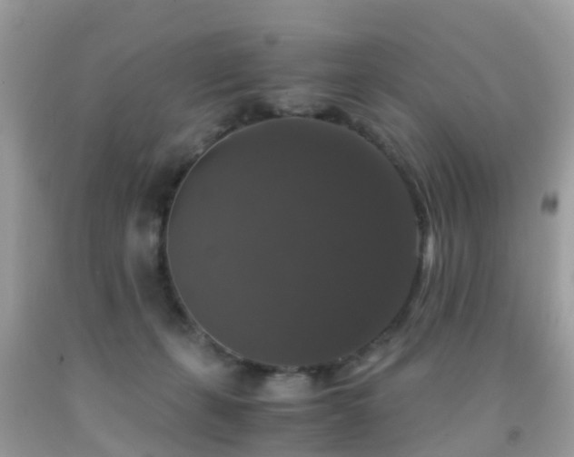 X0000091940271200709051528