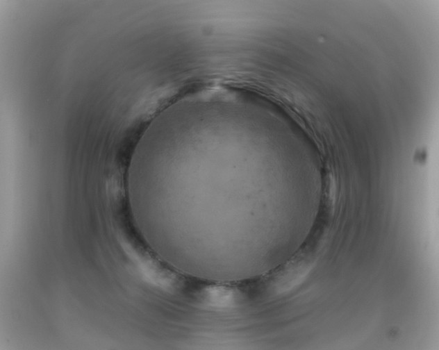 X0000091940272200709051528