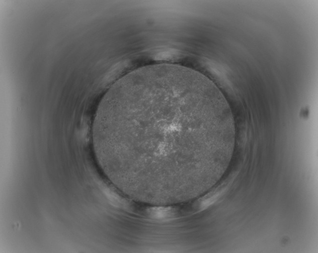 X0000091940273200709051528