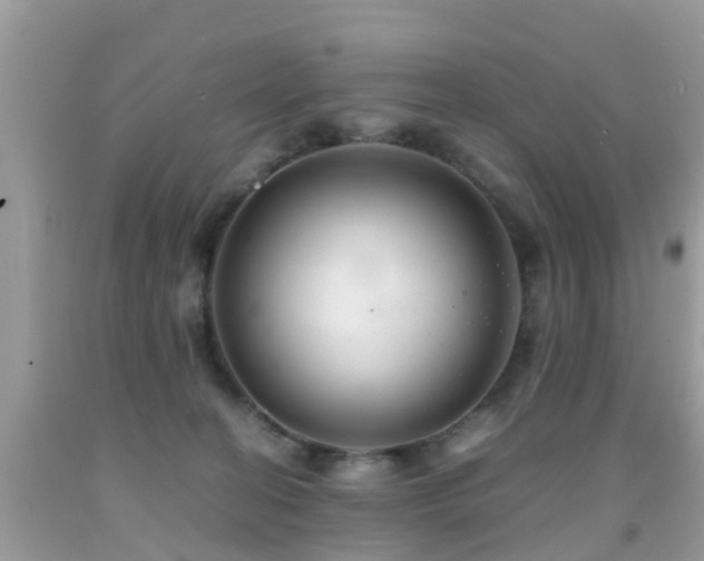 X0000091940274200709051528