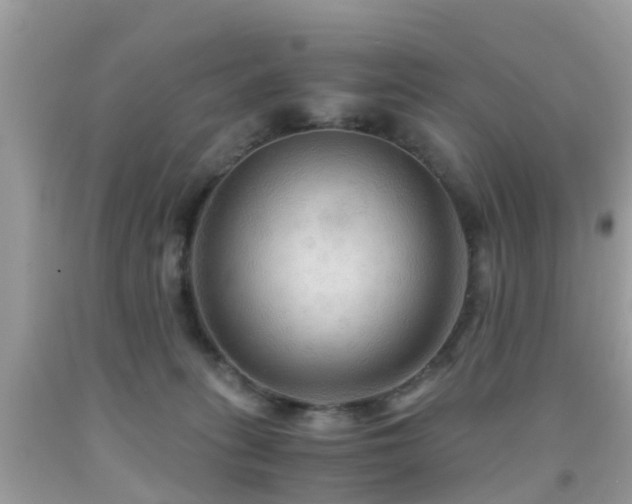 X0000091940275200709051528