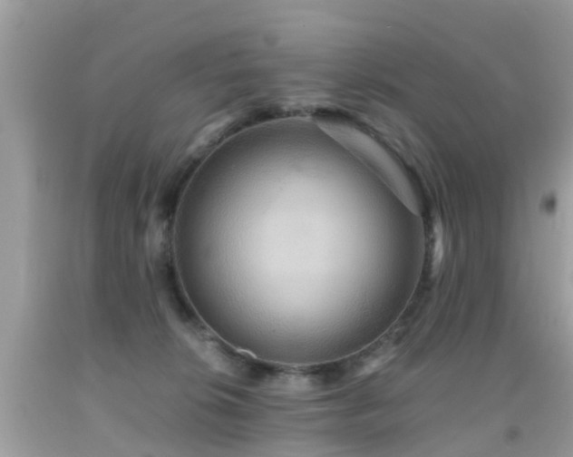 X0000091940276200709051529