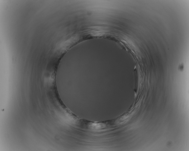 X0000091940277200709051529