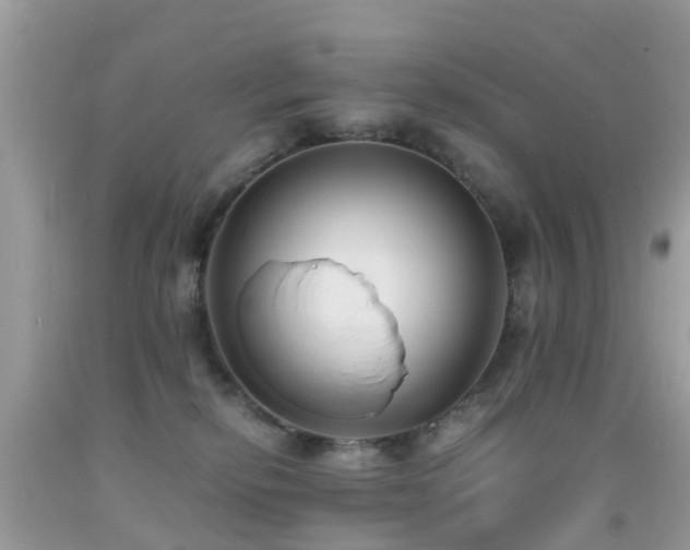 X0000091940278200709051529