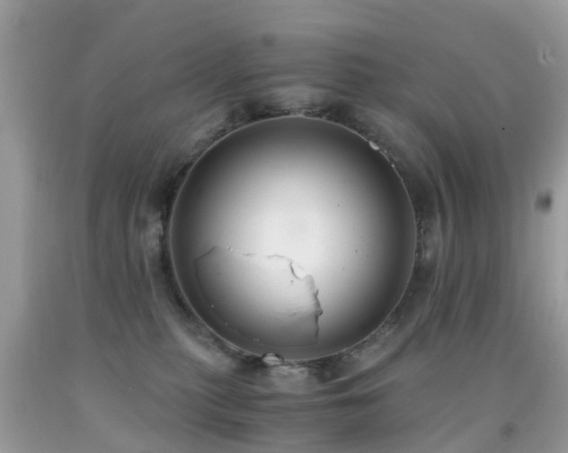 X0000091940279200709051529