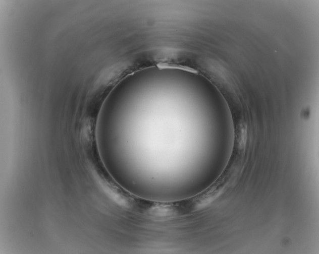 X0000091940280200709051529