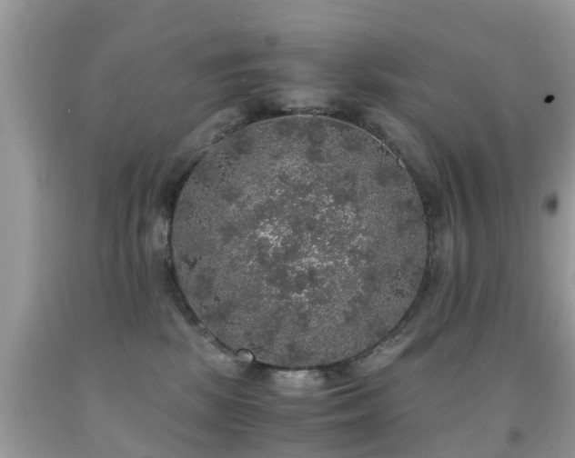 X0000091940281200709051529