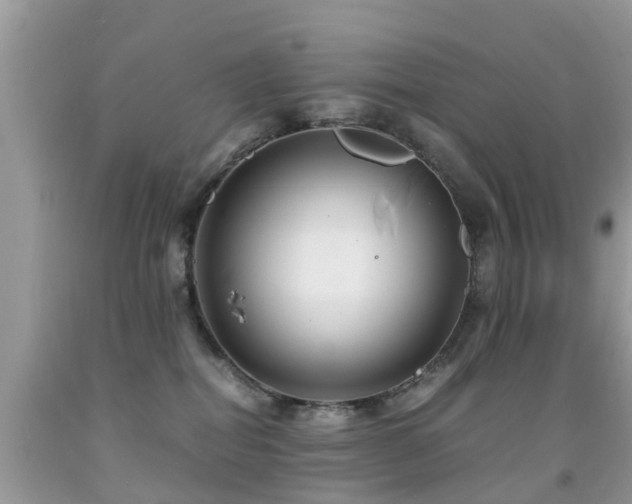 X0000091940282200709051529