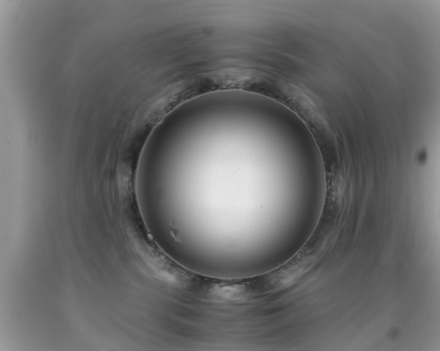 X0000091940283200709051529