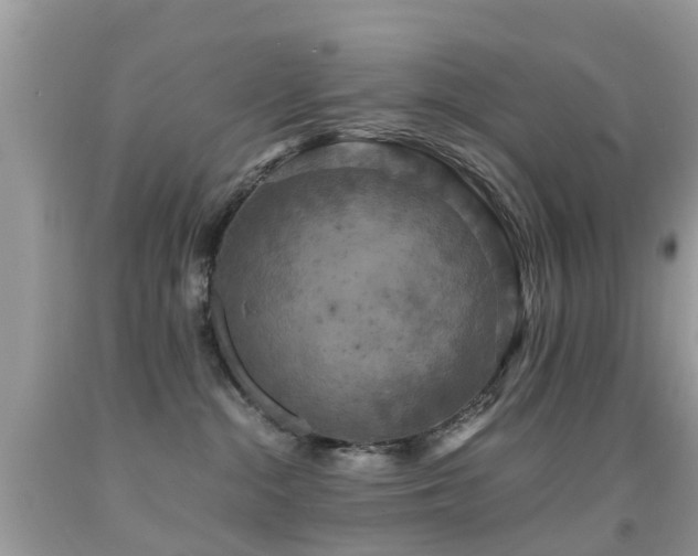 X0000091940284200709051529