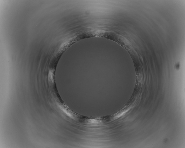 X0000091940286200709051529