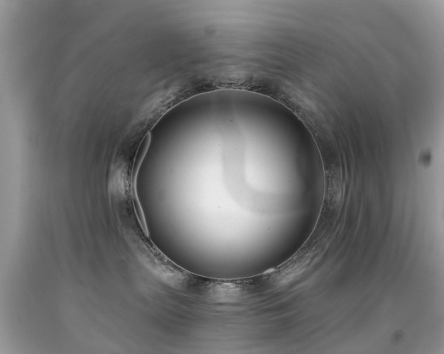 X0000091940287200709051529