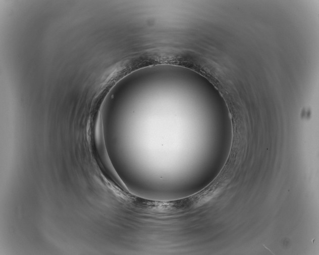 X0000091940288200709051529