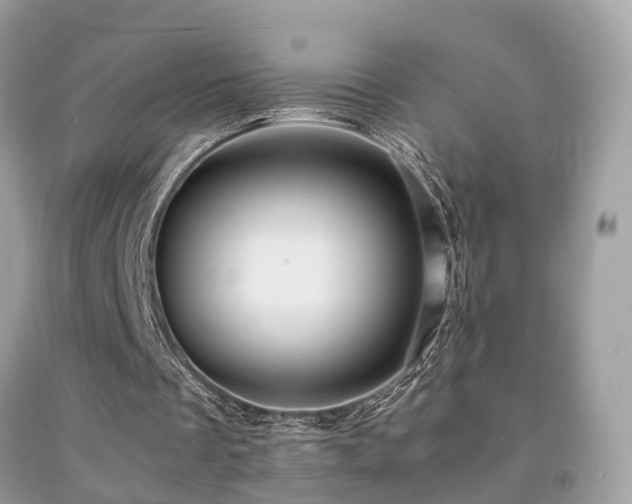 X0000091940289200709051528