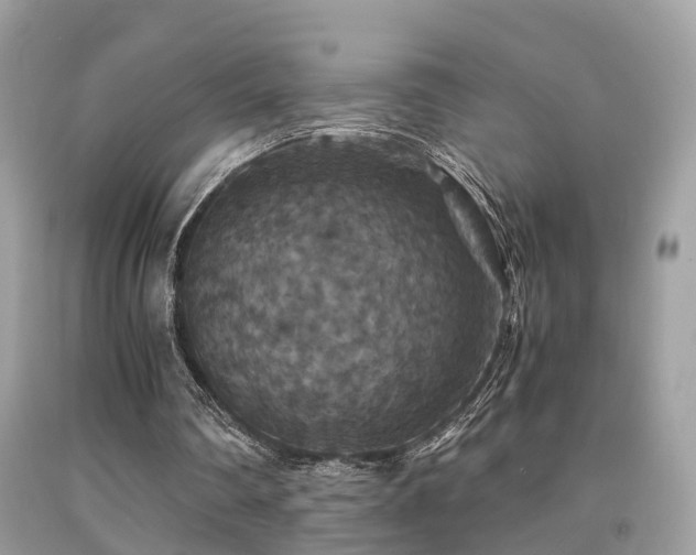 X0000091940290200709051528