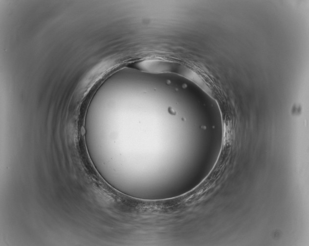 X0000091940291200709051528