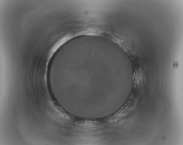 X0000091940292200709051528