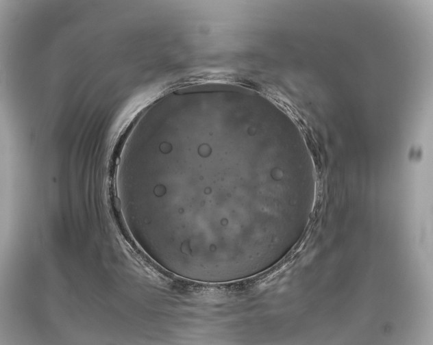 X0000091940293200709051528