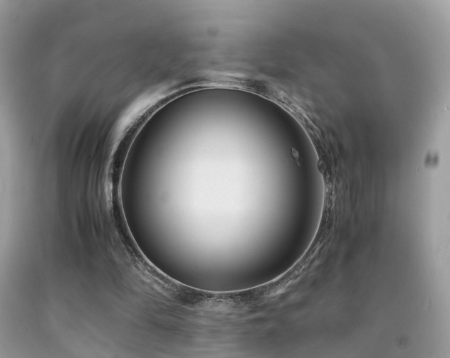 X0000091940294200709051528