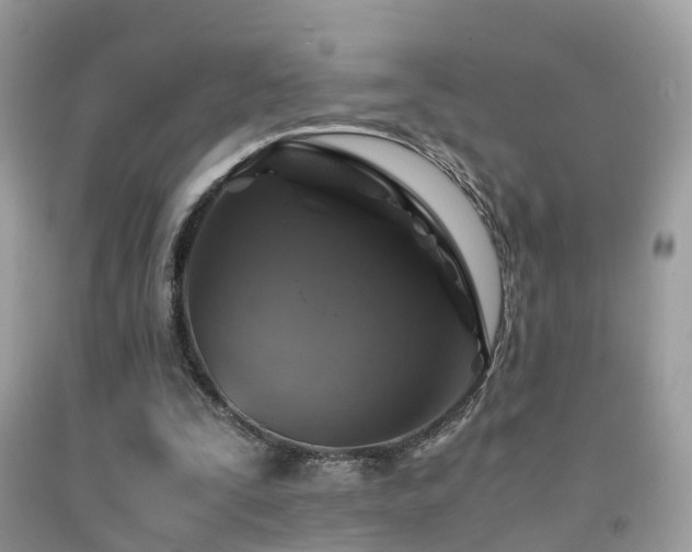 X0000091940295200709051528