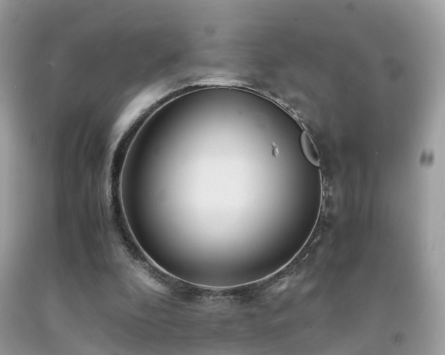 X0000091940296200709051528