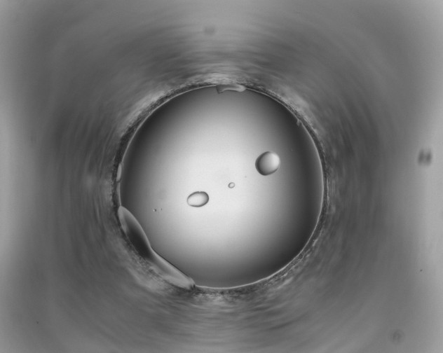 X0000091940297200709051528