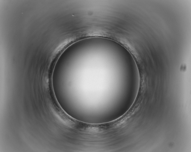 X0000091940298200709051528