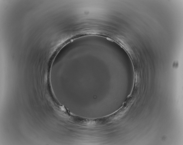 X0000091940301200709051528