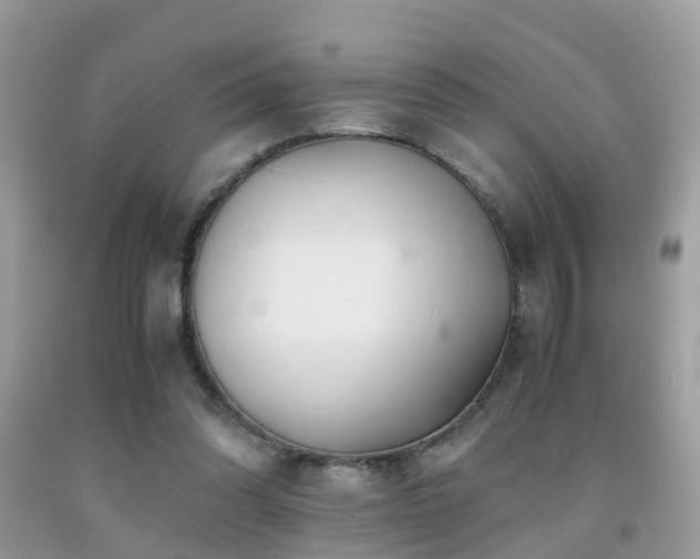 X0000091940302200709051528