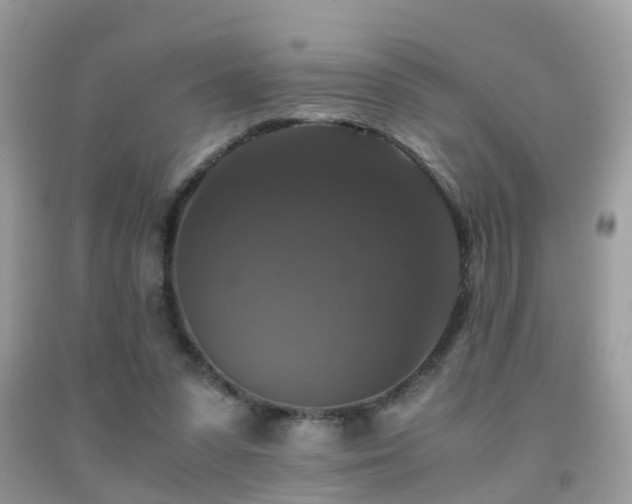 X0000091940303200709051528