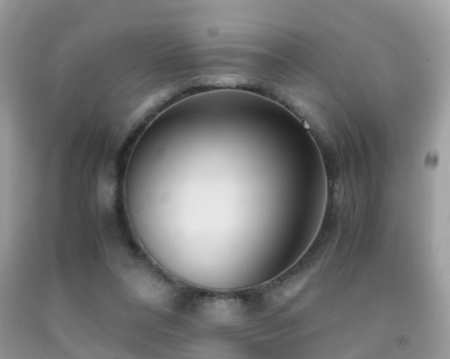 X0000091940304200709051528