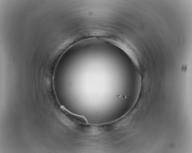 X0000091940305200709051528