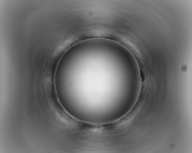 X0000091940306200709051528