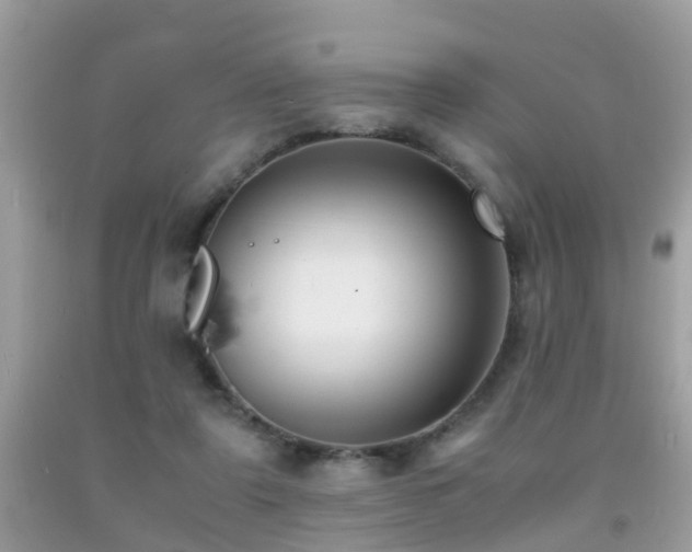 X0000091940307200709051528