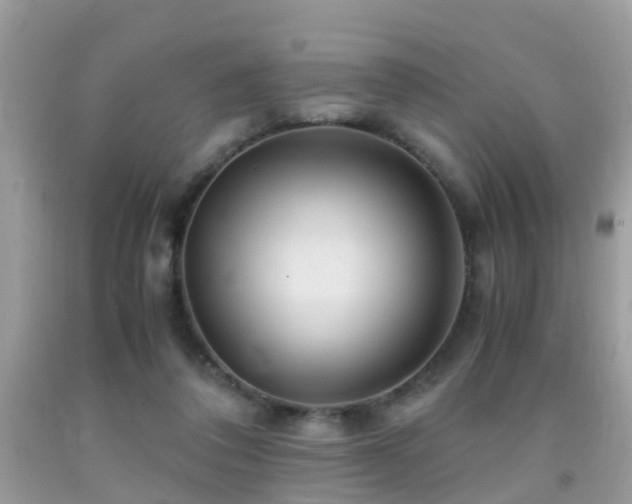 X0000091940308200709051528