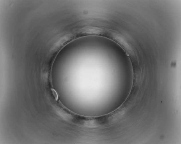 X0000091940309200709051528